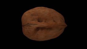 Realistic render of a rotating walnut on black background. The video is seamlessly looping, and the object is 3D scanned from a real walnut.
