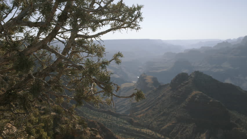 Vegetation on cliff in Grand Canyon, Arizona - panning right with refocus
