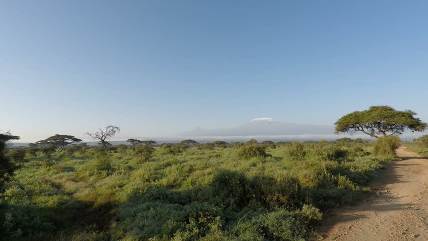 mount kilimanjaro in kenya