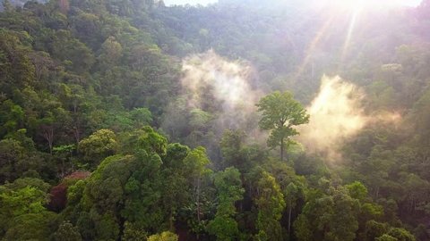Aerial scenery of sunlight coming through the fog at dawn in the mystical Malaysian jungle near Tapah, Perak, Malaysia