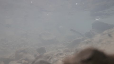 Video of a running creek, brook or river.
