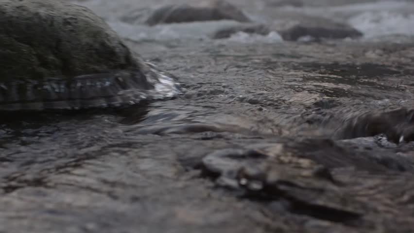 Snowy winter day on the Chilliwack River in British Columbia Canada.