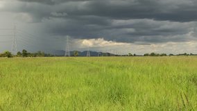 rice field in electric pole the evening and rainy weather. 4k video