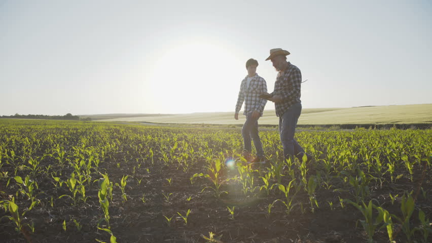 Father son legacy Stock Video Footage - 4K and HD Video Clips ...