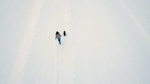 Drone top view of woman and small dog running in snow 4K. Aerial done shot from above a single person and dog in focus walk on snow terrain in winter. - Βίντεο στοκ