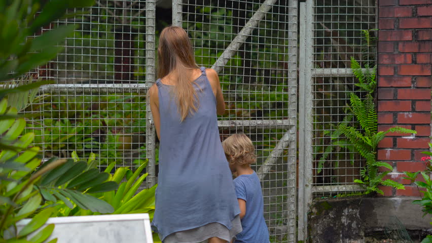 Young woman and her son visiting a tropical botanical garden. epiphytes section