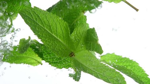 Close up several fresh green mint leaves floating in clear transparent water with air bubbles, low angle side view, slow motion