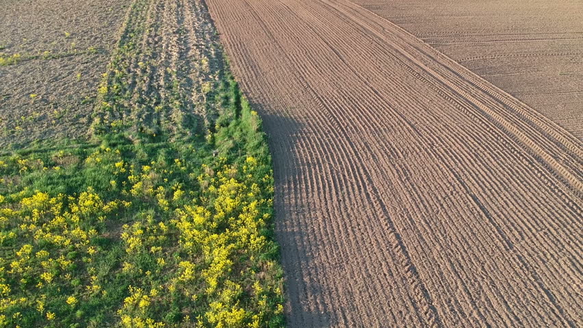 Beautiful spring time farmland fields, aerial view

