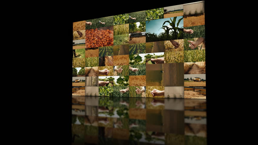 Agriculture and farming multiple screens video wall with reflection