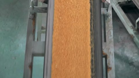 Raw Orange Fertilizer Passing Through A Treadmill - Tilt Up