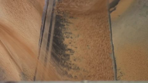 Orange Fertilizer Falling From 3 Places On A Moving Manufacturing Line - Tilt Up