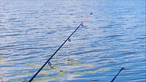 Fish on the lake and river throw fishing rods