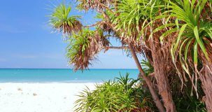 HDR 4K video nature background of exotic tropical beach at summer vacation on paradise island