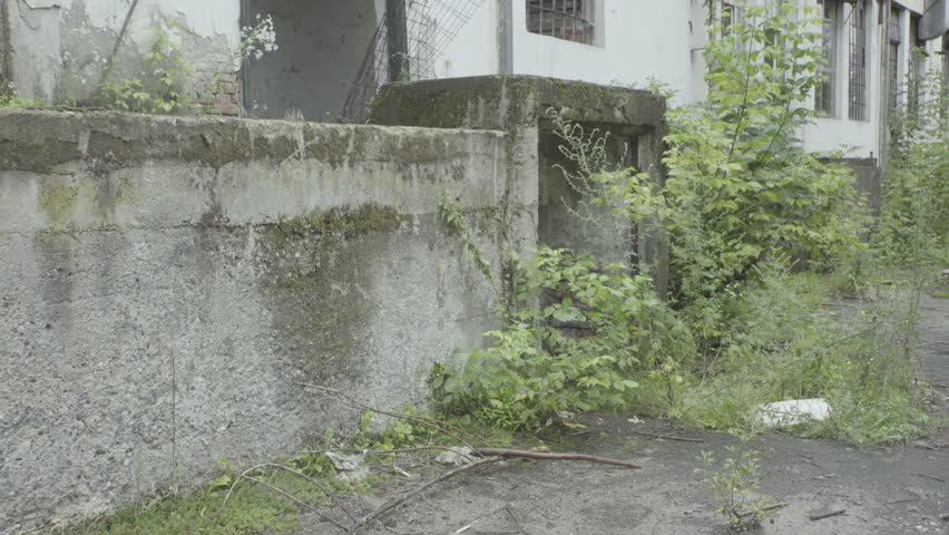 Man with protective gas mask and jacket comes out from destroyed building, takes wooden stick from floor and leaves. Concept radiation, apocalypse, armageddon, chemical or biological war, pollution.