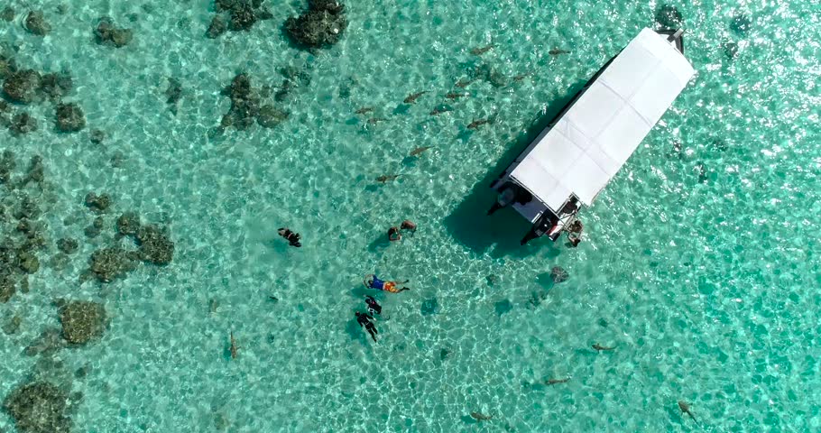 boat and snorkeling in a dream lagoon in French Polynesia, in an aerial view