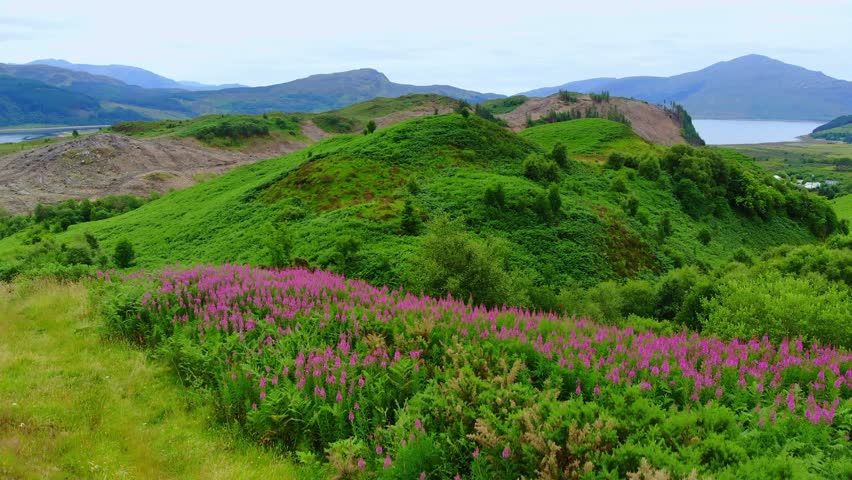 Wonderful landscape and green hills around Loch Long in Scotland