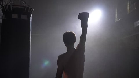 Shirtless boxer cheering about victory, winner raising hand in gloves, smoke and bright illumination
