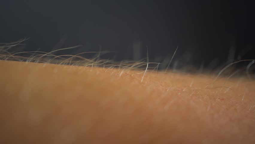 Arms Hairs Standing Up Macro Stock Footage Video 100 Royalty Free 1014121646 Shutterstock