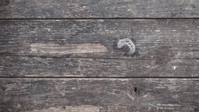 old and horizontal wooden background video full hd