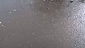 Heavy rain drips onto concrete ground video full hd