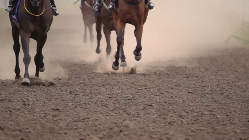 Horse Racing. The Feet of the Horses at the Racetrack Raising Dust and Dirt. Close Up. Slow motion.
 Royalty-Free Stock Footage #1014150734