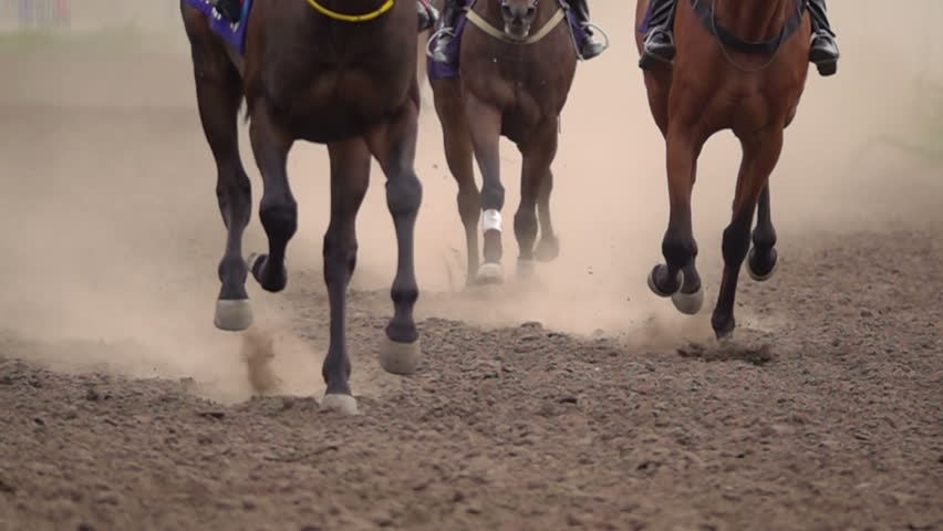 Horse Racing. The Feet of the Horses at the Racetrack Raising Dust and Dirt. Close Up. Slow motion.
