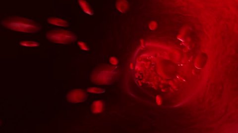 medically accurate 3d animation of blood rushing through an artery