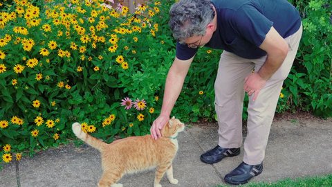 Older man petting a cat