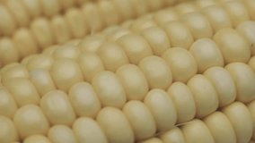 Corn rotation 360 degrees. Dark background. Macro view. - Powered by Shutterstock - Get 15% off with code: PIKWIZARD15