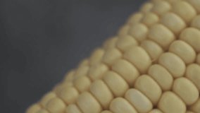 Corn rotation 360 degrees. Dark background. Macro view. - Powered by Shutterstock - Get 15% off with code: PIKWIZARD15