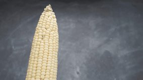 Corn rotation 360 degrees. Dark background. - Powered by Shutterstock - Get 15% off with code: PIKWIZARD15