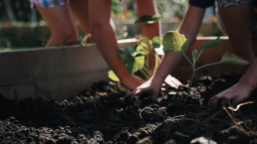 Two kids gardening in slow motion Royalty-Free Stock Footage #1014183554