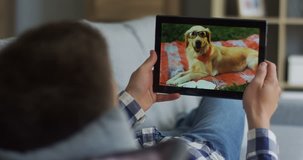 Rear of the caucasian man holding a tablet computer with video of the funny labrador dog in glasses on its screen. Close up.