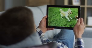 Close up of the black tablet device in hands of the man who watching a video of two cute dogs playing on the green grass.