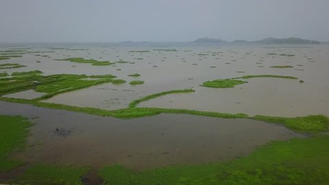 Ariel view of Loktak lake & Keibul lamjao area Manipur, India