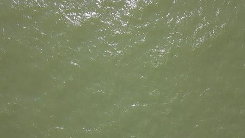 4k aerial footage with green Baltic Sea water attacked by cyanobacteria in summer in Poland.