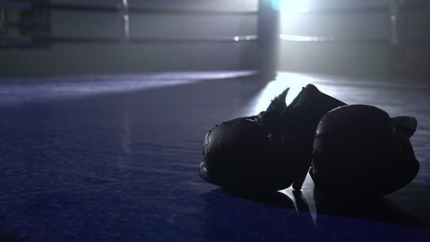Boxing gloves lie on the floor of the ring. Close up