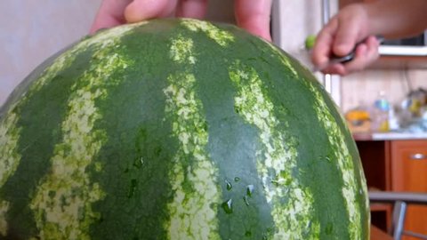 watermelon melon knife chopper cut