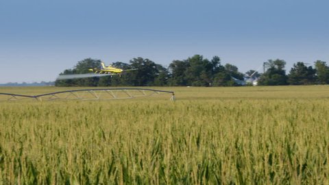 Crop Duster Super slow motion flying over corn field spraying crops