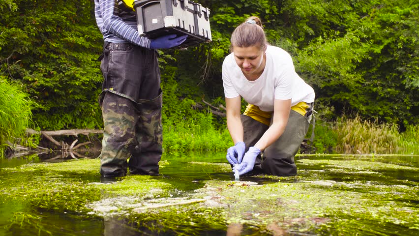 Man and woman scientist environmentalist standing in a river. Woman taking sample of water and pouring it into the test tube. Man holding toolbox | Shutterstock HD Video #1014250067