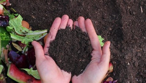 Zero waste. Recycles Kitchen and Yard Waste. Soil in the hands of the gardener. Optimal Compost Ingredients To Create Rich Black Soil
