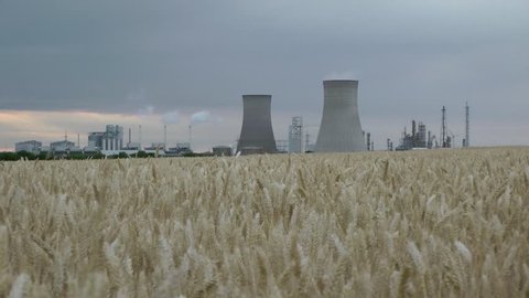 Petroleum oil refineries cooling towers with steam filmed over corn wheat field.  Filmed in England, Yorkshire. 