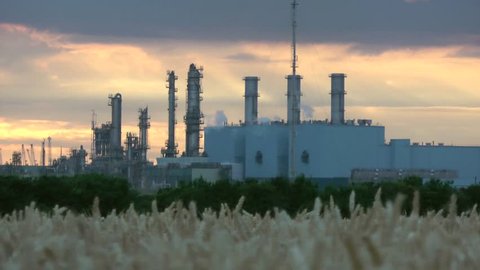 Petroleum oil refineries cooling towers with steam filmed over corn wheat field.  Filmed in England, Yorkshire. 