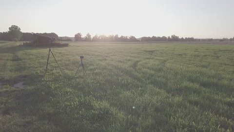 sun seek on field in germany