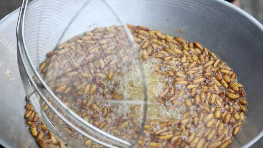 Deep fried insects protein in oil cooking in a pan in local market for food festival thailand asia | Shutterstock HD Video #1014331091