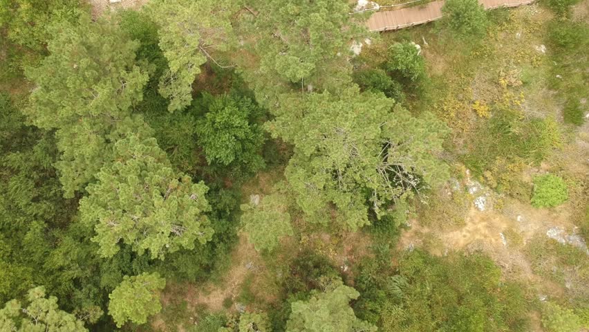 Birdseye view of the paths