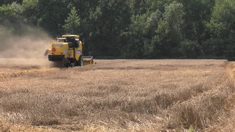 Brynek, Silesia / Poland - July 2018: Harvesting oats with harvester with enclosed air-conditioned cab, rotary thresher and laser-guided automatic steering. 4K, UHD, 50p,Panning,Closeup, 						