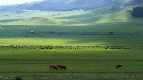 Bulgan/Mongolia - June 19, 2018: Landscape of grassland in Inner Mongolia, Bulgan, Mongolia.
