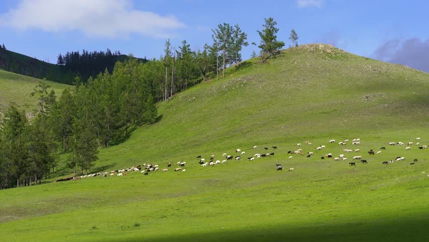 Bulgan Stock Video Footage - 4K and HD Video Clips | Shutterstock