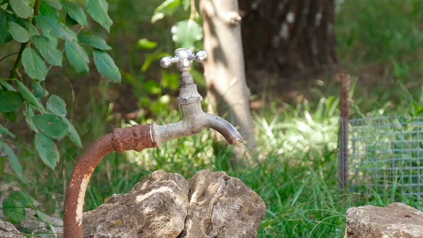 Young boy washes leaves of sorrel under a tap faucet outdoors. Organic vegetables directly from the garden. Unity with nature